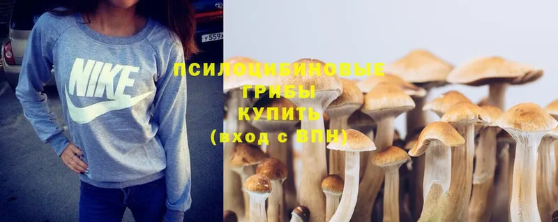 даркнет сайт  Высоковск  MEGA как зайти  Псилоцибиновые грибы Psilocybine cubensis 